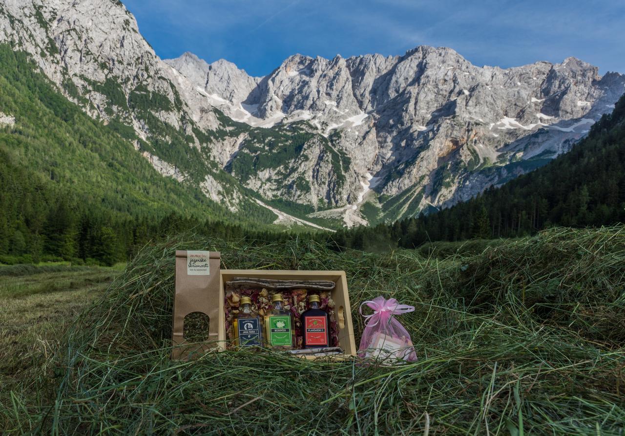 Cvet Gora - Camping, Glamping And Accomodations Zgornje Jezersko Exterior foto