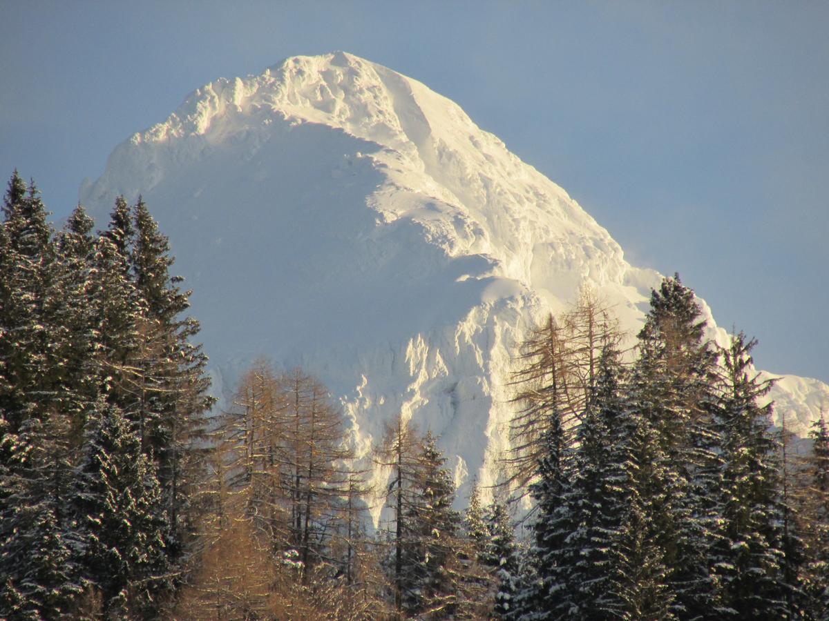 Cvet Gora - Camping, Glamping And Accomodations Zgornje Jezersko Exterior foto